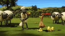 Mother Duck Hit GIF - Mother Duck Hit Attack GIFs