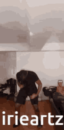 Irieartz GIF
