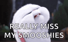 Snowball Bunny GIF - Snowball Bunny Sad GIFs