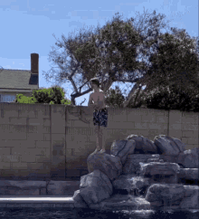 Braxton Braxton Jump GIF - Braxton Braxton Jump Braxton Roverts GIFs