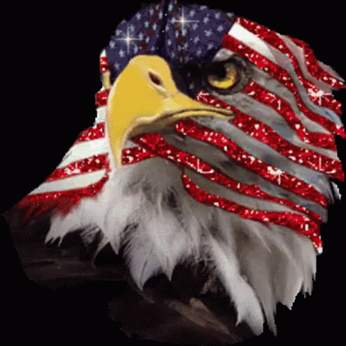 Eagle Th Of July Gif Eagle Th Of July Happy Th Of July Discover Share Gifs