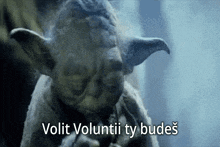 a close up of yoda with the words " volit voluntii ty budes " above him