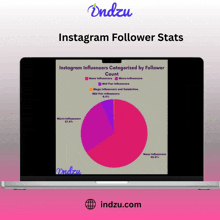 a laptop screen shows a pie chart of instagram followers