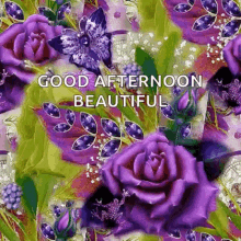 Good Afternoon Butterflies GIF - Good Afternoon Butterflies Sparkles GIFs