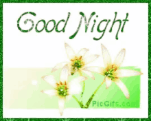 Good Night Flower GIF - Good Night Flower Shiny GIFs