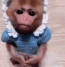 a monkey wearing a blue dress and a white hat is sitting on the floor .