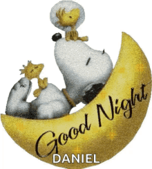 Good Night Snoopy GIF - Good Night Snoopy Glitters GIFs