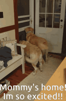 So Excited Mommys Home GIF - So Excited Mommys Home GIFs