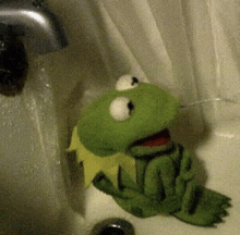 kermit the frog lotion gif