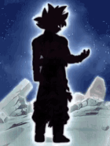 a silhouette of a person standing in a field