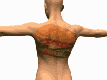 Trif Wich GIF