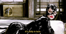 Chilly Catwoman GIF - Chilly Catwoman GIFs