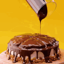 chocolate is being poured on a cake with nuts on top
