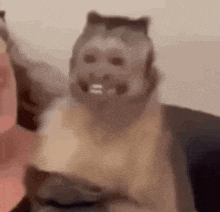 a cat with a monkey mask on its face is sitting next to a person .