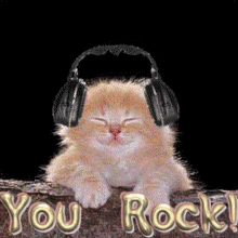You Rock Cat GIF
