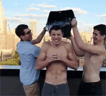 Ice Bucket Challenge Featuring Shawn Mendes GIF - Shawnmendes Als Icebucketchallenge GIFs