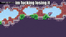 a screenshot of a video game with the words im fucking losing it
