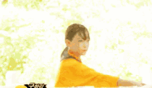 少林功夫 GIF - Shaolin Kung Fu GIFs