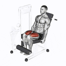 Leg Extension Machine GIF - Leg Extension Machine - Discover & Share GIFs