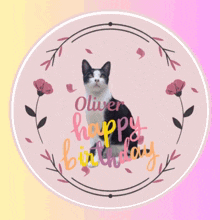 Gatos Oliver GIF - Gatos Oliver Feliz Aniversário GIFs