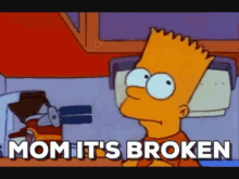 Simpsons Momitsbroken GIF