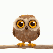 Hoot Owl GIF - Hoot Owl GIFs