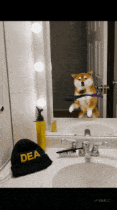 a dog brushing its teeth in front of a mirror with a dea hat next to it