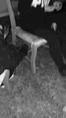 a black and white photo of a person sitting on a bench holding a drink .