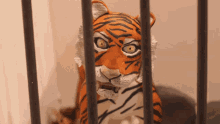 cage tiger