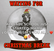 Christmas Break Waiting For Christmas Break GIF - Christmas Break Waiting For Christmas Break Elf Hat GIFs
