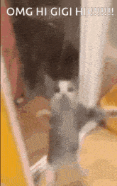 a blurry picture of a cat with the words omg hi gigi hi written above it