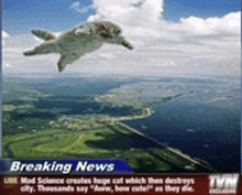 an aerial view of a cat flying through the air with breaking news written on the bottom