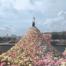 a woman stands on top of a large pile of flowers