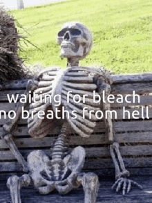 Bleach Hell Arc Waiting For Bleach GIF