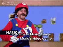 Super Mario Shaun Mario Bros GIF - Super Mario Shaun Mario Bros Super Mario Bros Shaun GIFs
