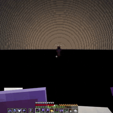 a screenshot of a minecraft game shows a person standing in front of a tunnel