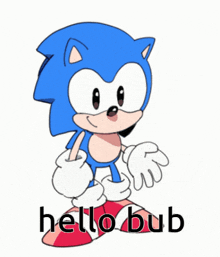 a drawing of sonic the hedgehog with the words hello bub below him