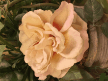 Flower Wallpaper GIF - Flower Wallpaper GIFs
