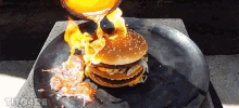 Big Mac Flame Retardant GIF - Big Mac Flame Retardant GIFs