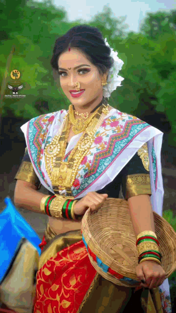 Traditional 2024 koli saree