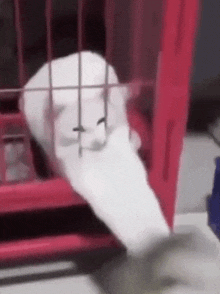 a white cat is laying in a red cage with its eyes closed