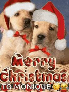 Merry Christmas Dog GIF - Merry Christmas Dog Pup GIFs