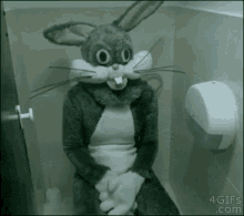 rabbit bunny toilet yes come