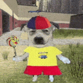 a dog wearing a hat and holding a lollipop