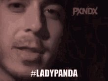 Lady Panda Whisper GIF - Lady Panda Whisper Murmur GIFs