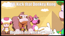 donkey kong mario kick bacondub