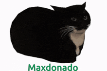 Maldonado Maxwell GIF - Maldonado Maxwell Maxdonado GIFs