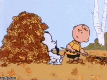 Snoopy Charlie Brown GIF - Snoopy Charlie Brown Leaf GIFs