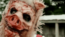 Pig Head Pig Head Mask GIF - Pig Head Pig Head Mask Saw GIFs