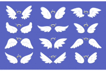 Wings GIF - Wings GIFs